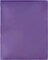 Plastic 2-Pocket Folders - Clear Overlay on Front and Back - Made in U.S.A
